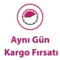 aynıgünkargo.jpg (13 KB)